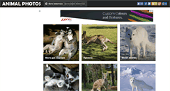 Desktop Screenshot of animal-photos.ru