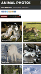 Mobile Screenshot of animal-photos.ru