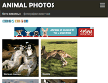 Tablet Screenshot of animal-photos.ru